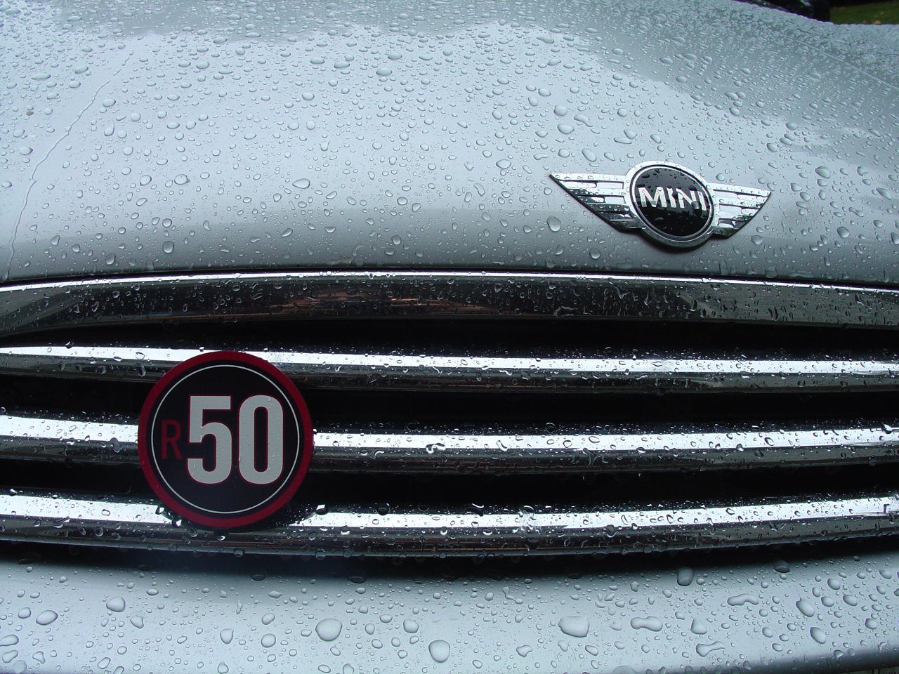 Grill-Mounted Badge Detail