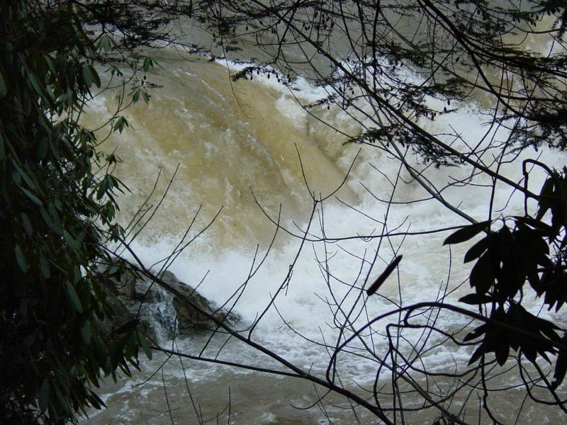 Ted's view of the rushing river at Wonder Falls