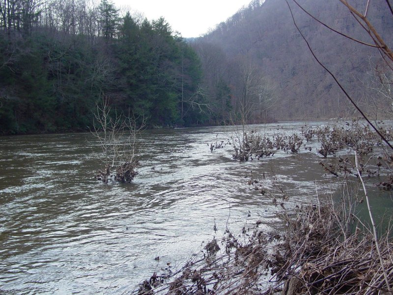 Cheat River facing Cooper's Rock