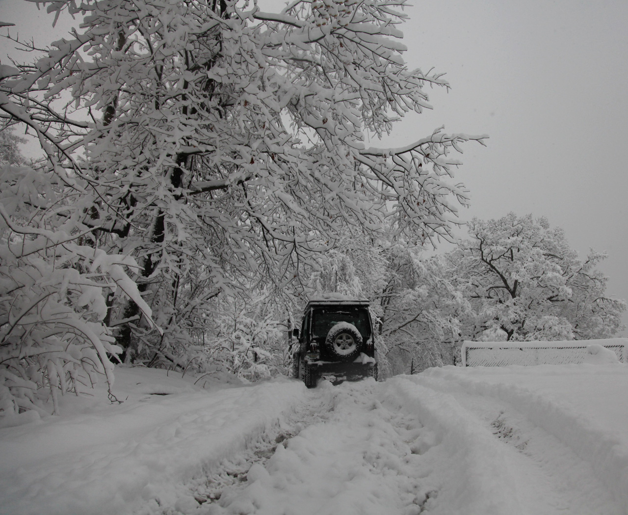 Click to Enlarge - Jeep on Morgan's Run Road