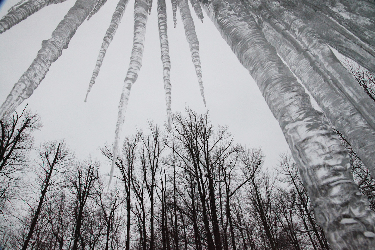Click to Enlarge - Bare Trees and Ice