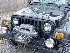 Big Jeep with Jeep Travel Bug on Hood