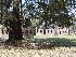Boone Hall Plantation Slave Houses