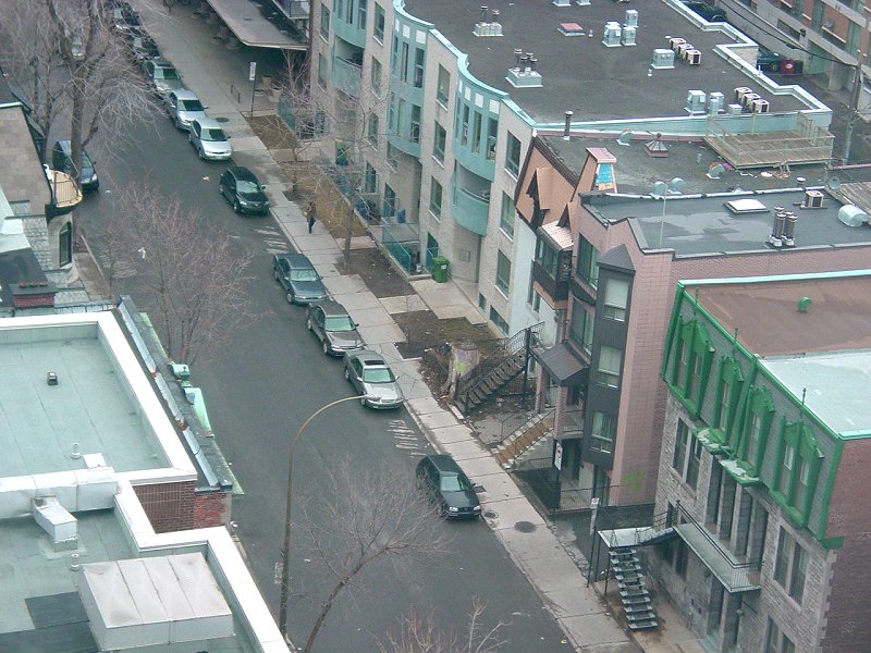 View from Hotel of Rue Hutchison in Montreal
