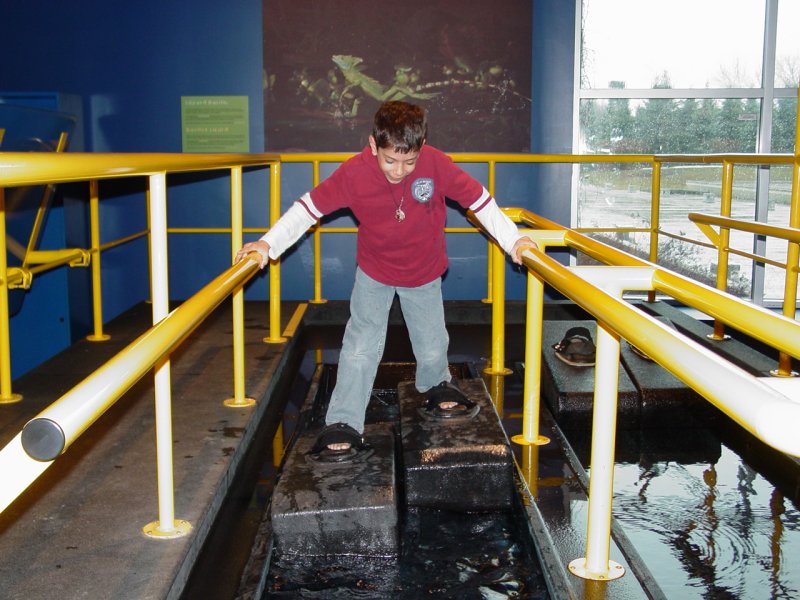 Tom trying one of the exhibits