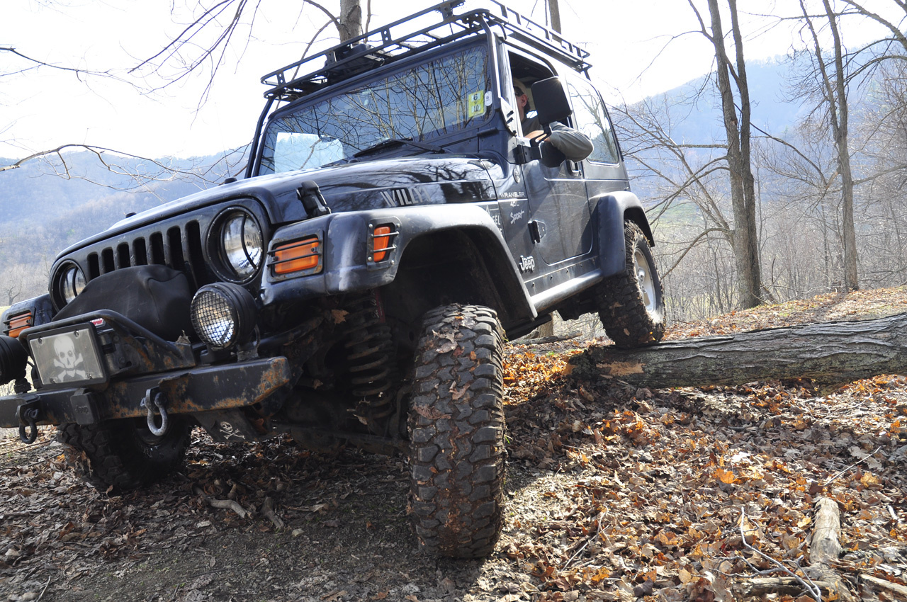 Classic Flex Shot over Tree Obstacle