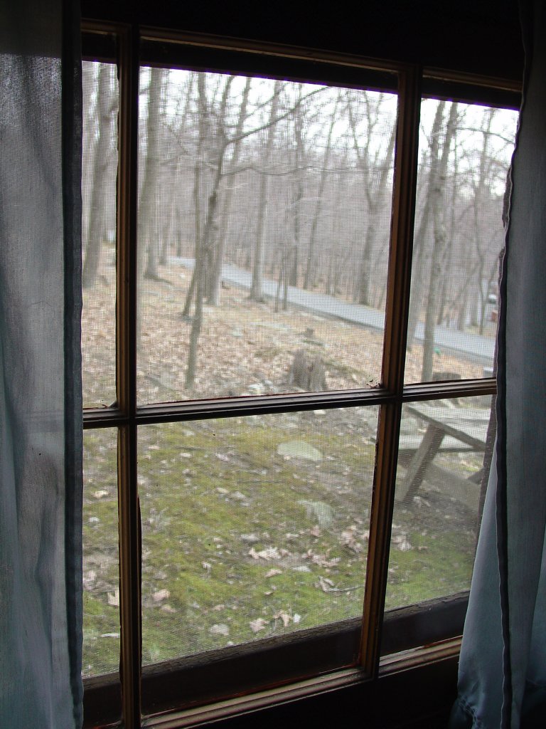 Cabin 3 View