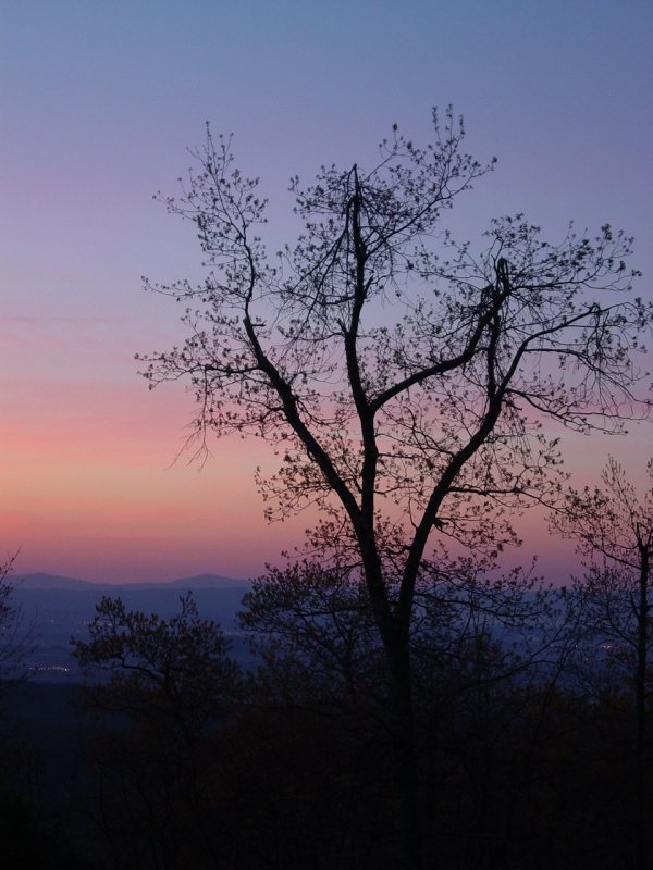 Sunrise on Meadow Knob