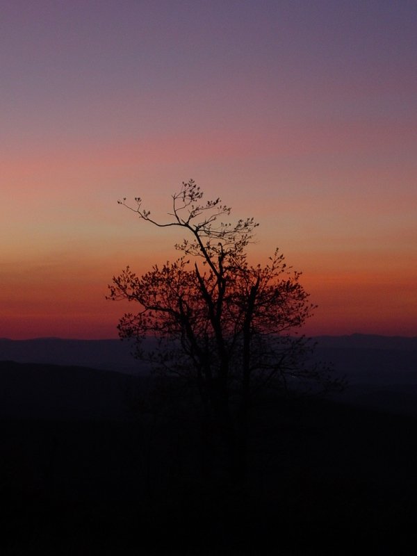 Sunrise on Meadow Knob