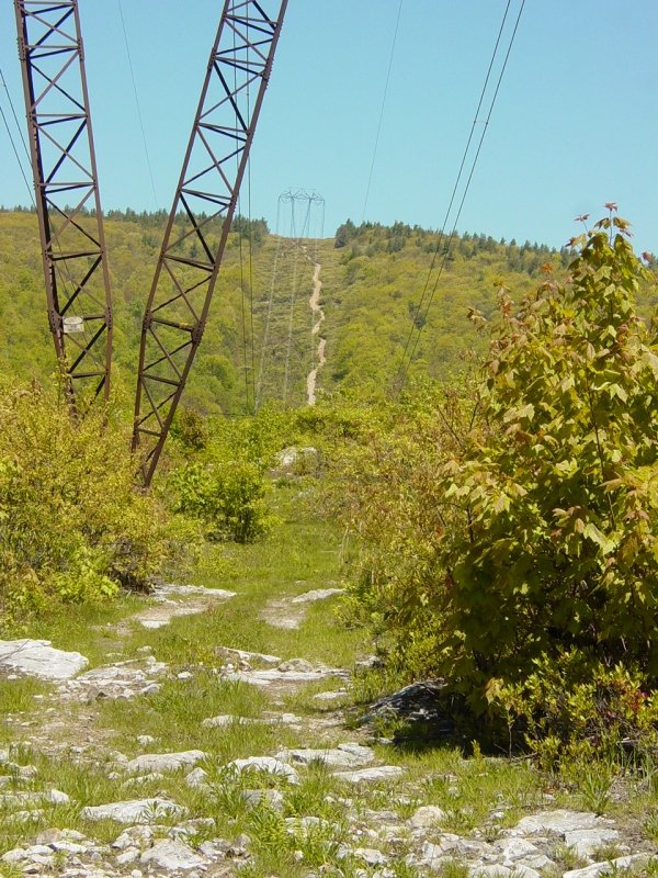 Power Line Maintenance Trail