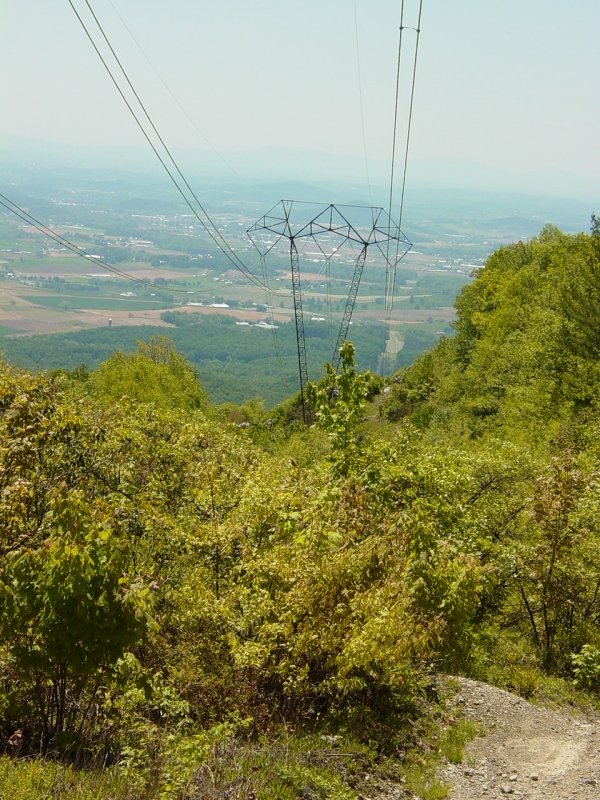 View from Trail