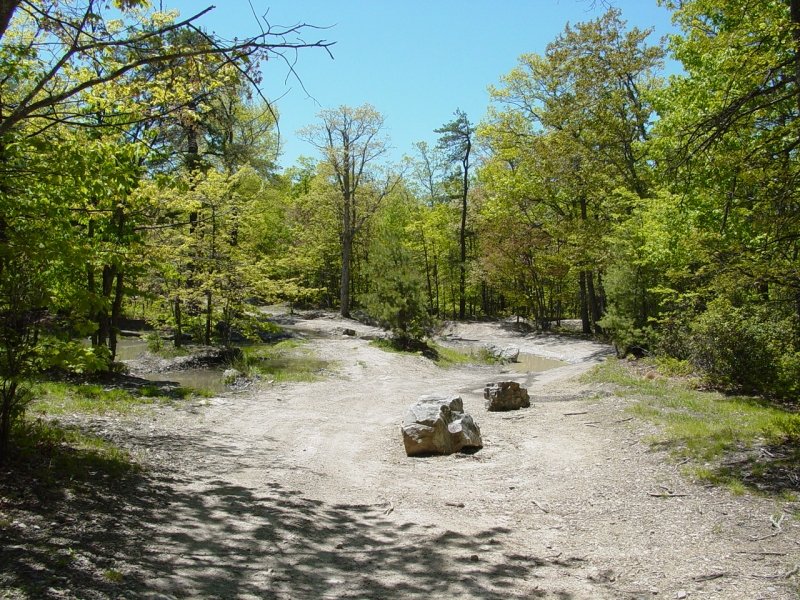 Second Mountain Mud Hole Project