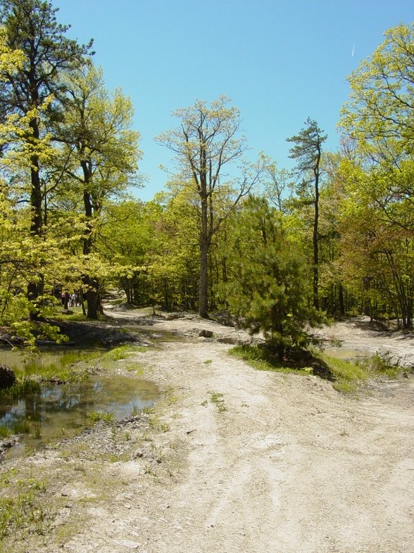 Second Mountain Mud Hole Project