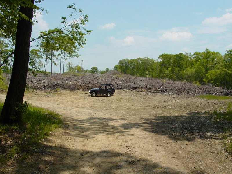 Stripped area across from WVU forest