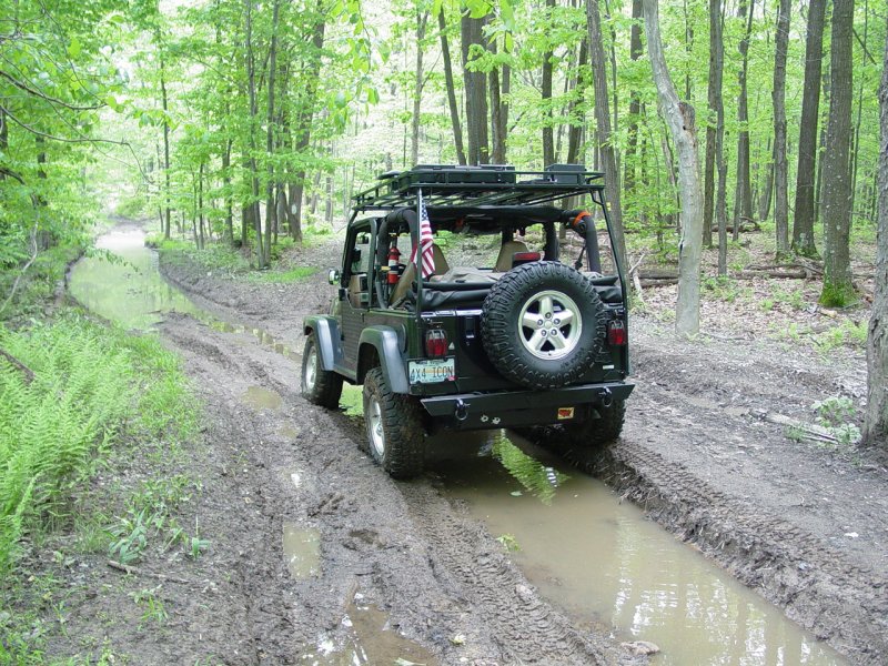 Another Muddy Area