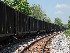 Coal Cars at Terra Alta, WV