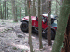 Jeeps in the wood