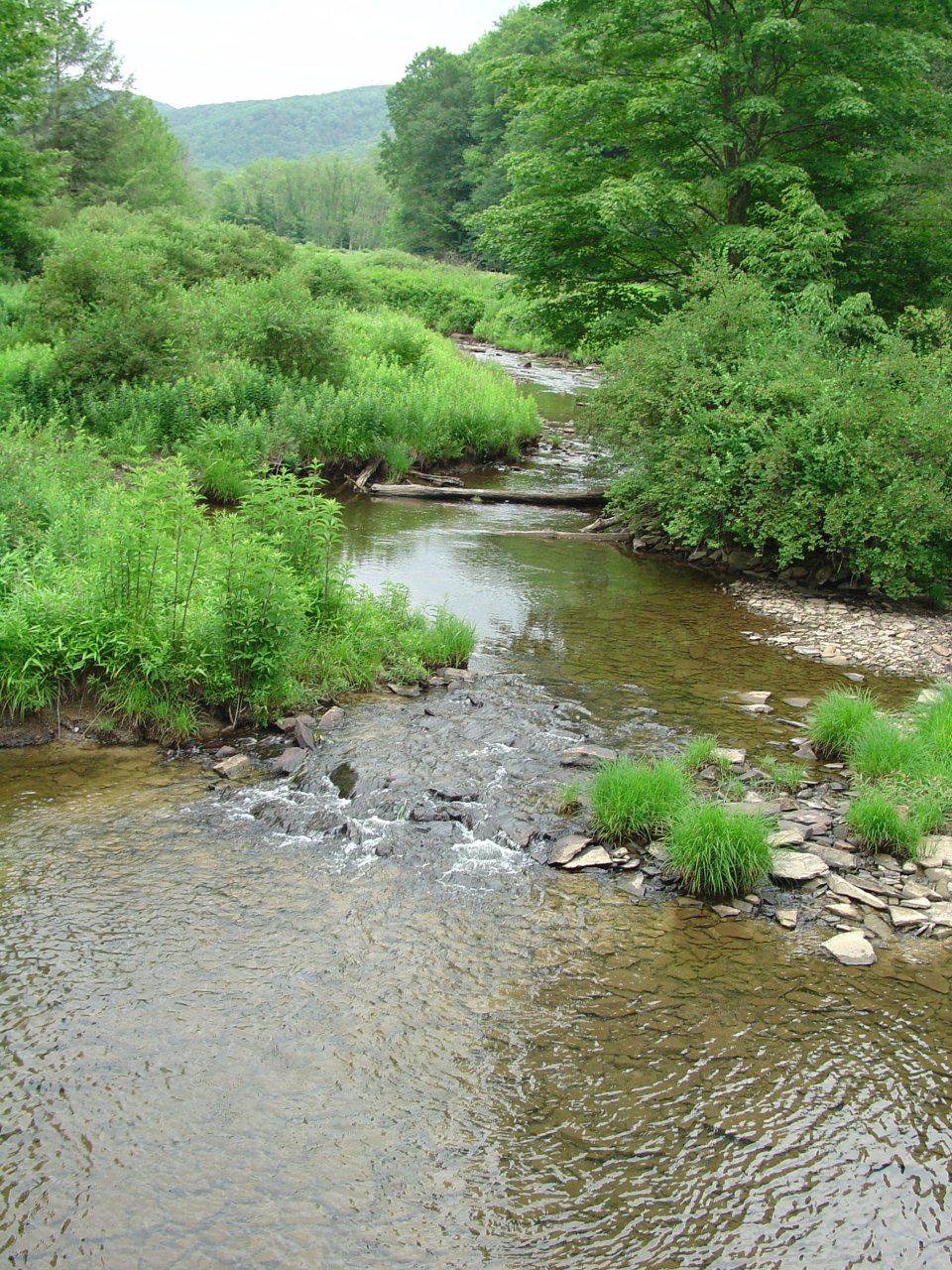 Little River at Burner, PR44 and PR17