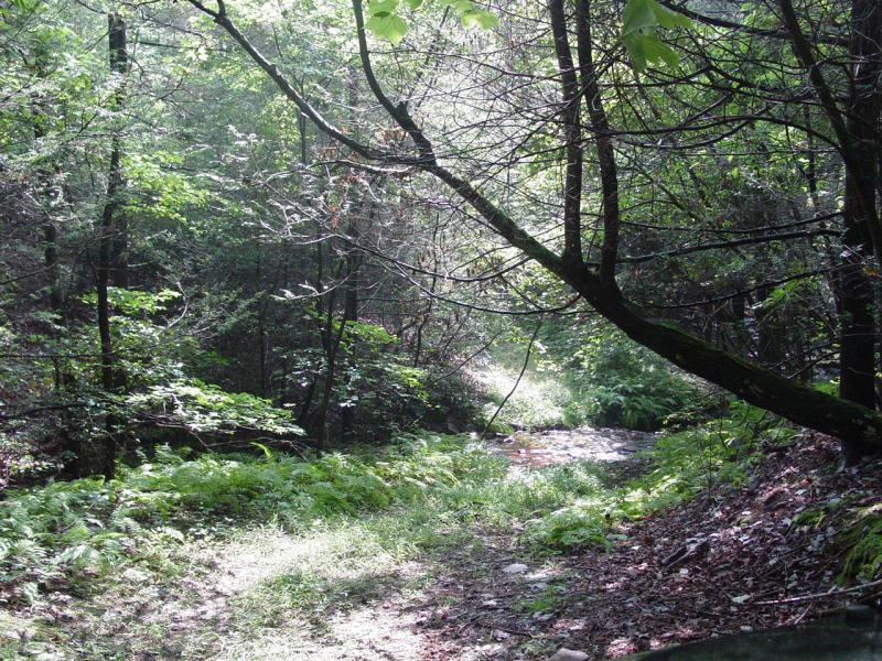 Rare Opportunity to explore seldom-open trails - Click to Enlarge