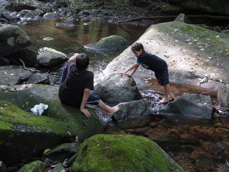 Kids near the Laurel Fork stream - Click to Enlarge