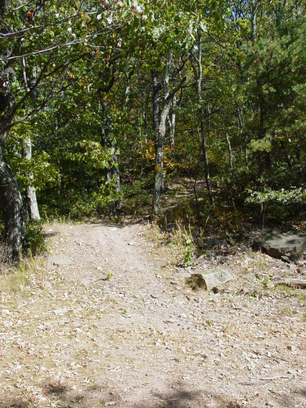 Hiking Spot Near Skidmore Fork Scenic Area - Click to Enlarge