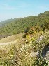 View from near Judy Gap