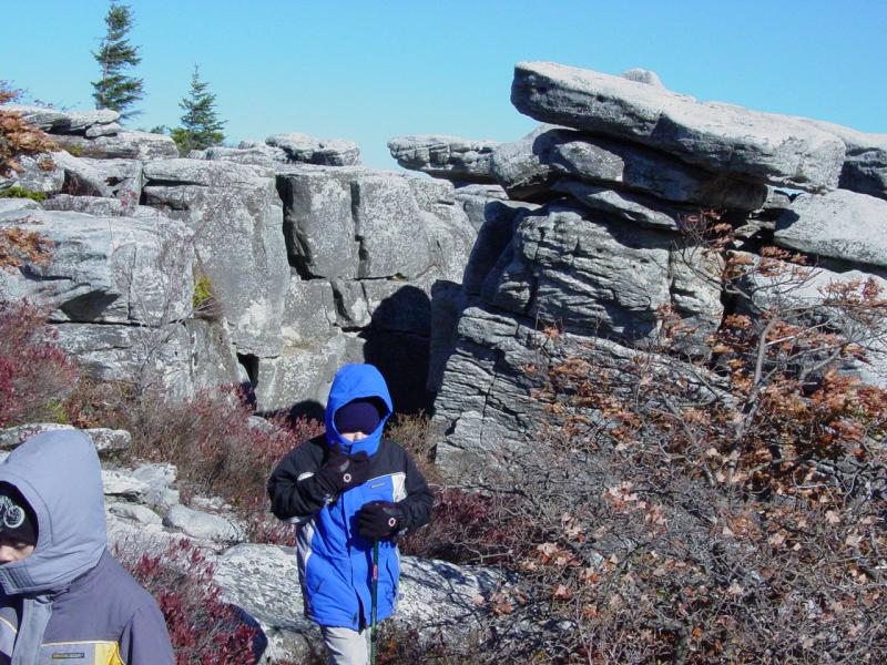 Kids on the Trail to Bear Rocks on Dolly Sods