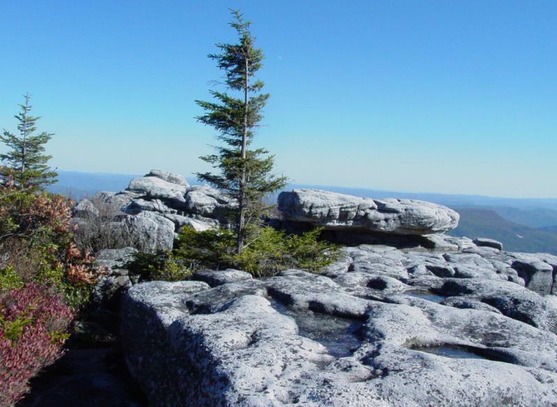 View from the Trail to Bear Rocks on Dolly Sods
