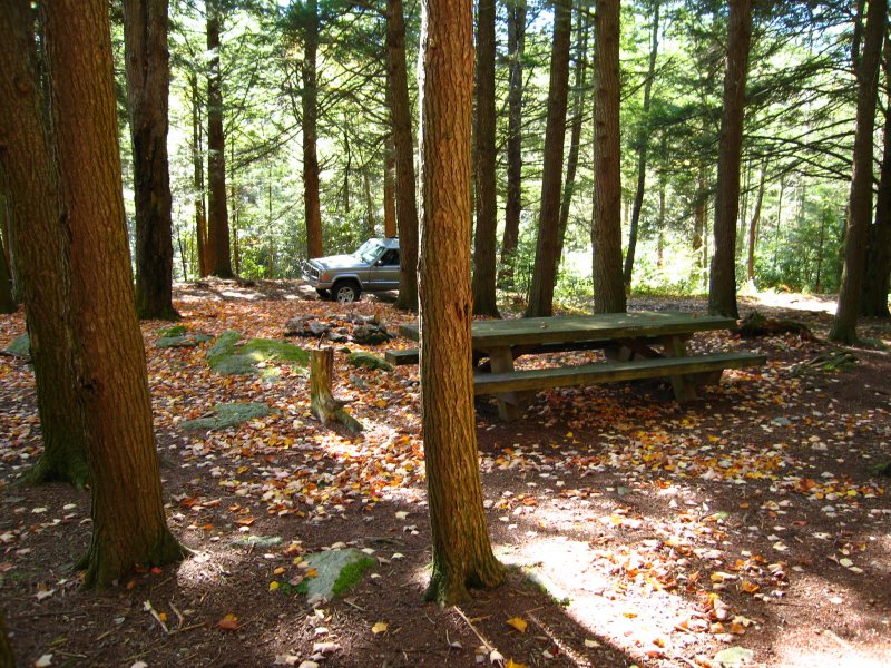 Picnic table at campsite