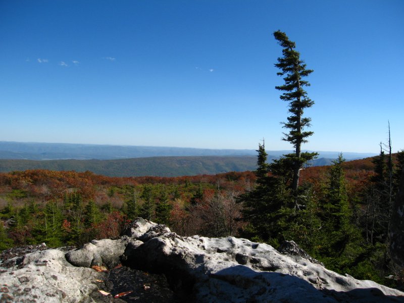 Dolly Sods View
