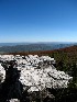 Dolly Sods View