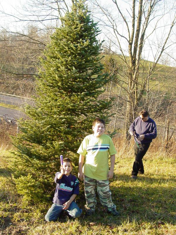 Ted and Tom with our tree and Paul preparing saw...