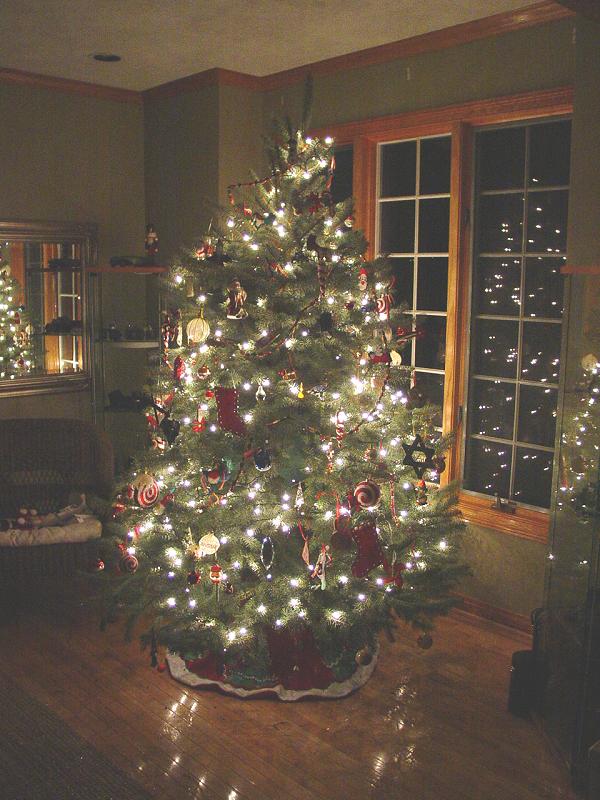 Christmas Tree Dressed for Evening