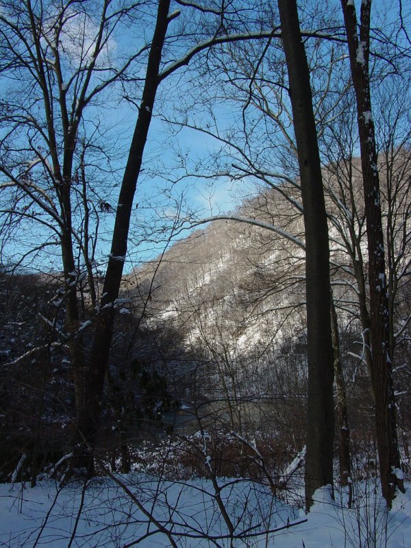 Cooper Rock from Beaver Hole