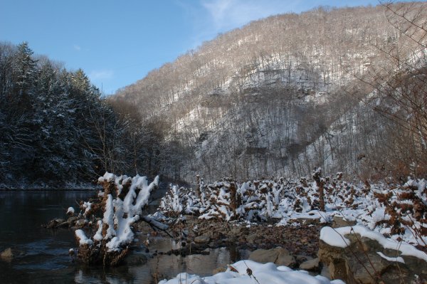 View of Coopers Rock from Beaver Hole