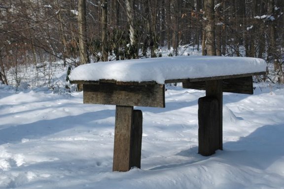 Table at Beaver Hole