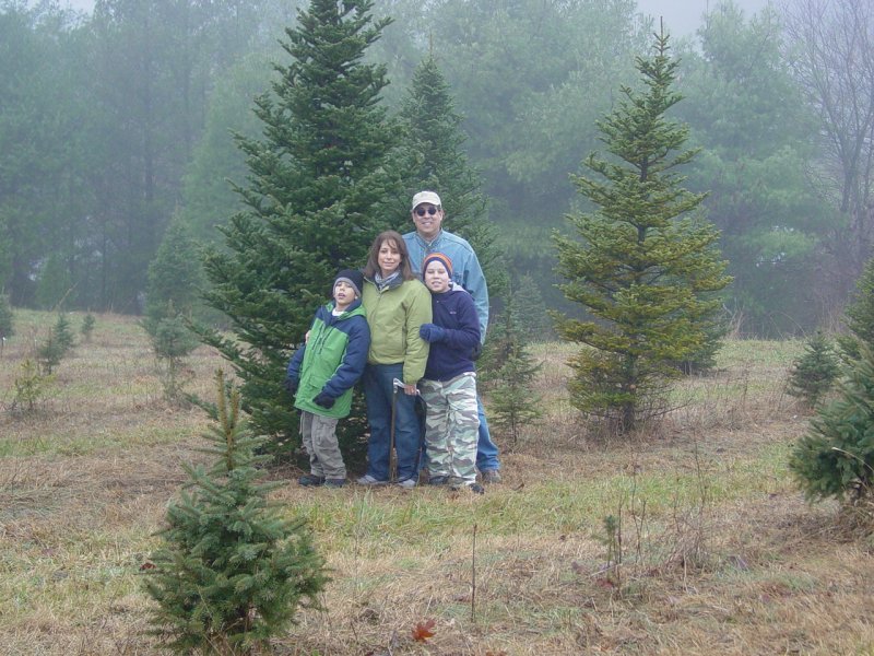 The Family and The Tree