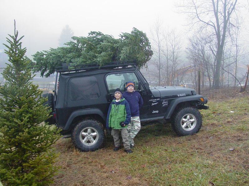 The Tree Loaded