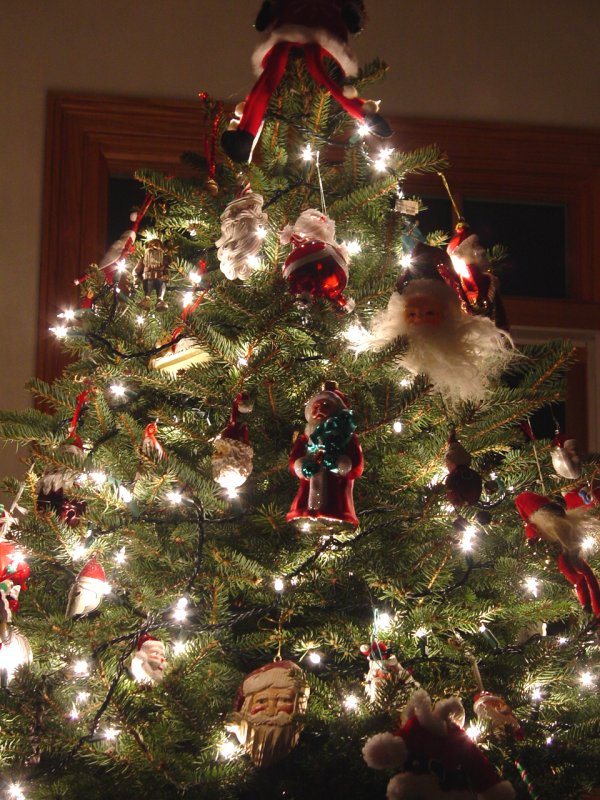 Santa Tree (The Little Tree)