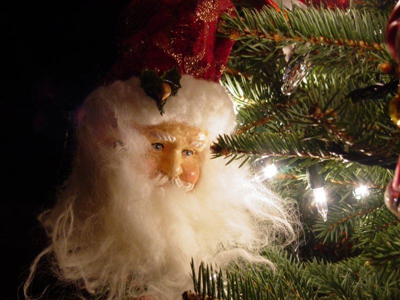 Detail of Santa Tree