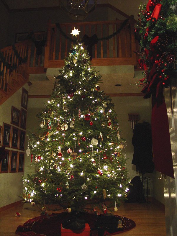 Christmas Tree from Entrance