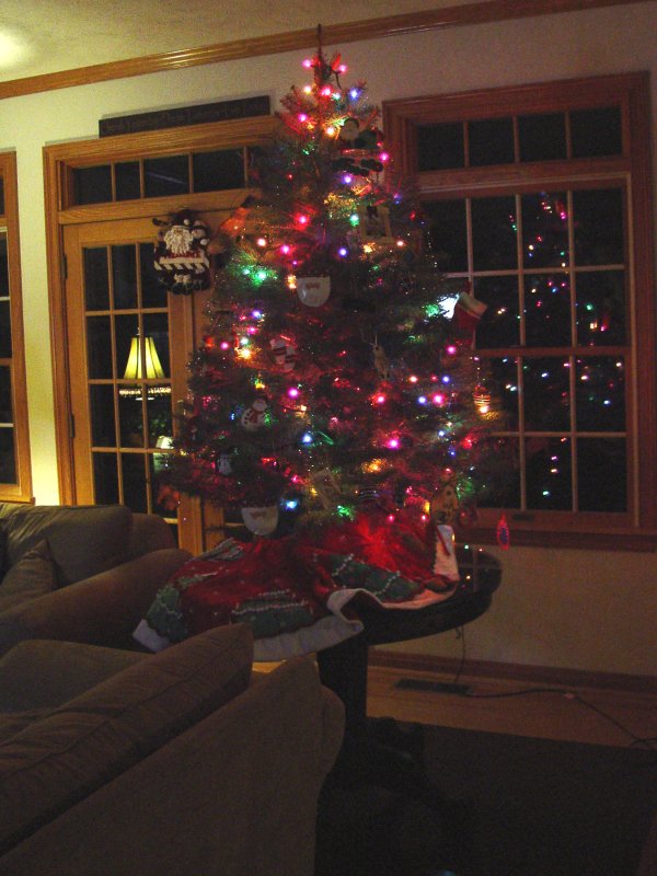 Small Christmas Tree in Family Room