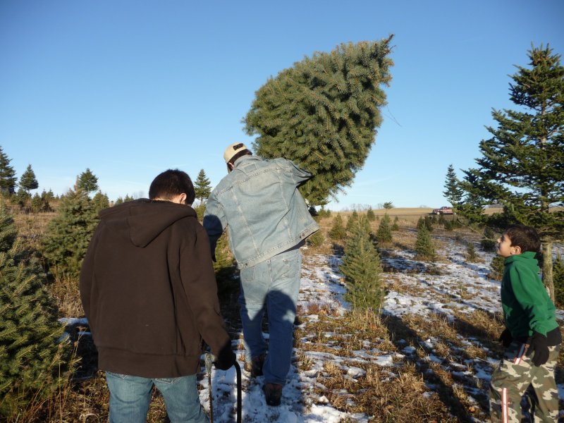 Paul Taking Tree to Jeep