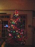 Small Christmas Tree in Family Room
