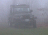 Jeeps in the mist