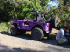 Purple Willys
