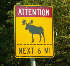 Moose Warning Sign