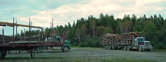 Lumber Trucks