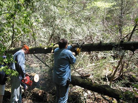 Trail Work