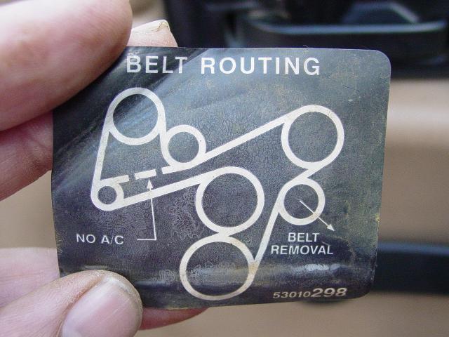 Label, Belt Path